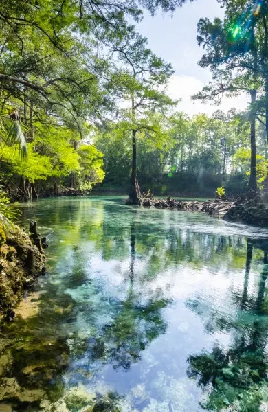 Florida Springs