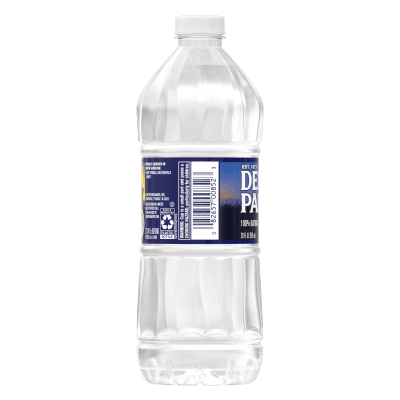 20 fl oz Bottled Water, Single