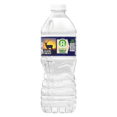 16.9 fl oz Bottled Water, Single