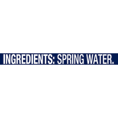 20 fl oz Bottled Water, Single